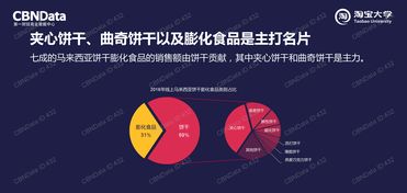 中国市场互联网数据处理服务的发展与机遇——以199it为例